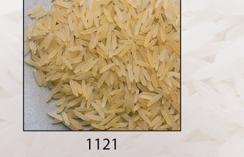 1121 Basmati